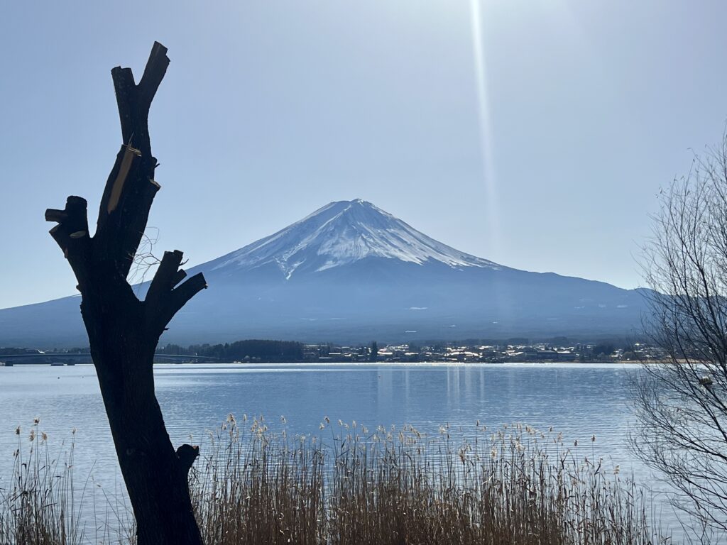 河口湖からの富士山の写真