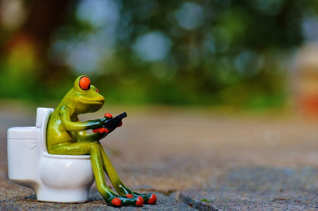 frog, mobile, toilet-914520.jpg